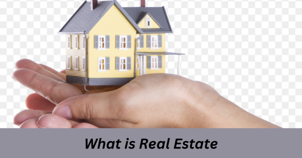 what is Real estate